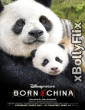 Born in China (2016) Hollywood English Movie Download 