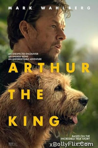 Arthur the King (2024) Dual Audio (Hindi+English) Hollywood Hindi Dubbed Movie Download