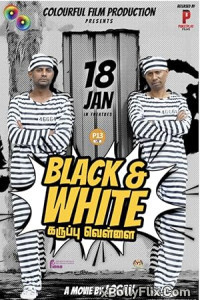 Black and White (2024) Gujarati Movie Download 