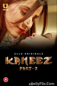 Kaneez (2021) S01 Hindi Web Series Download