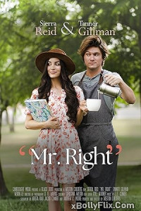 Mr. Right (2023) Hollywood English Movie Download