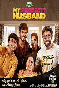 My Perfectt Husband (2024) S01 Hindi Web Series Download