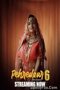 Pehredaar 6 (2024) E04-06 Hindi Web Series Download